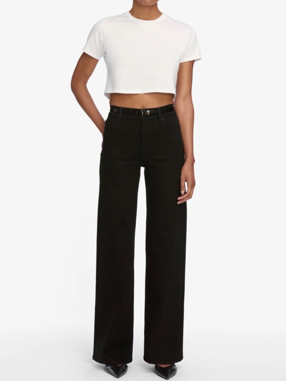 Frame Le Slim Palazzo Denim Black High-Rise Wide Leg Jeans Size 28